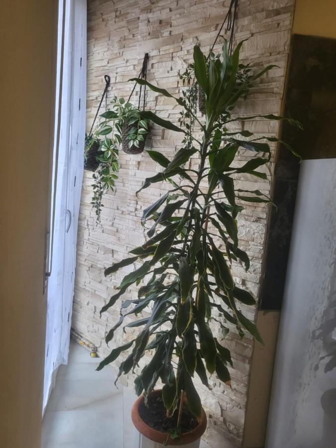 Casa Hanna2 Intra Eksteriør billede